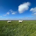 Nurdachhaeuschen Blaue Nordseewelle