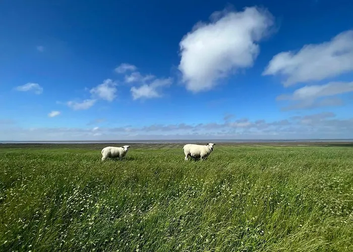 Nurdachhaeuschen Blaue Nordseewelle